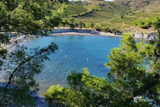 Appart Coeur De Village - Proche Des Criques Port Vendres Exteriér fotografie