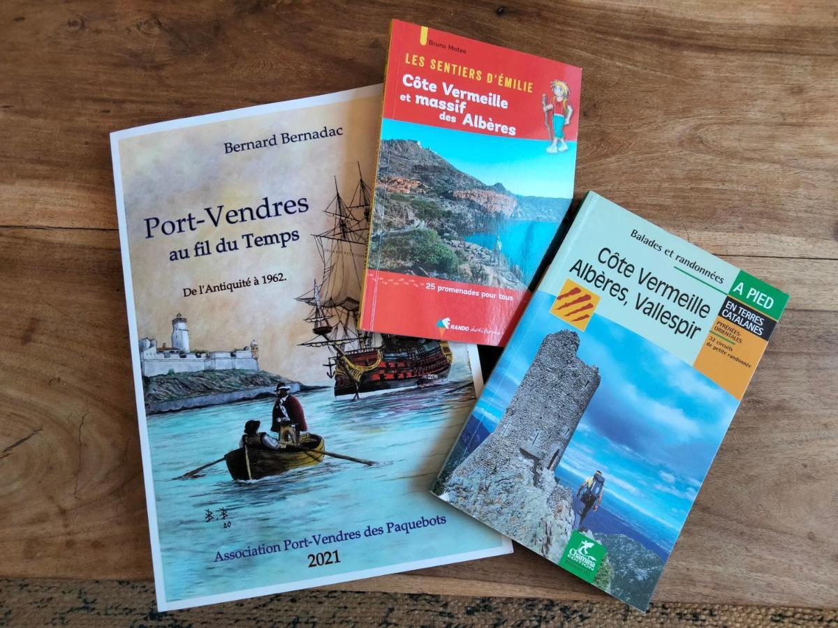 Appart Coeur De Village - Proche Des Criques Port Vendres Exteriér fotografie